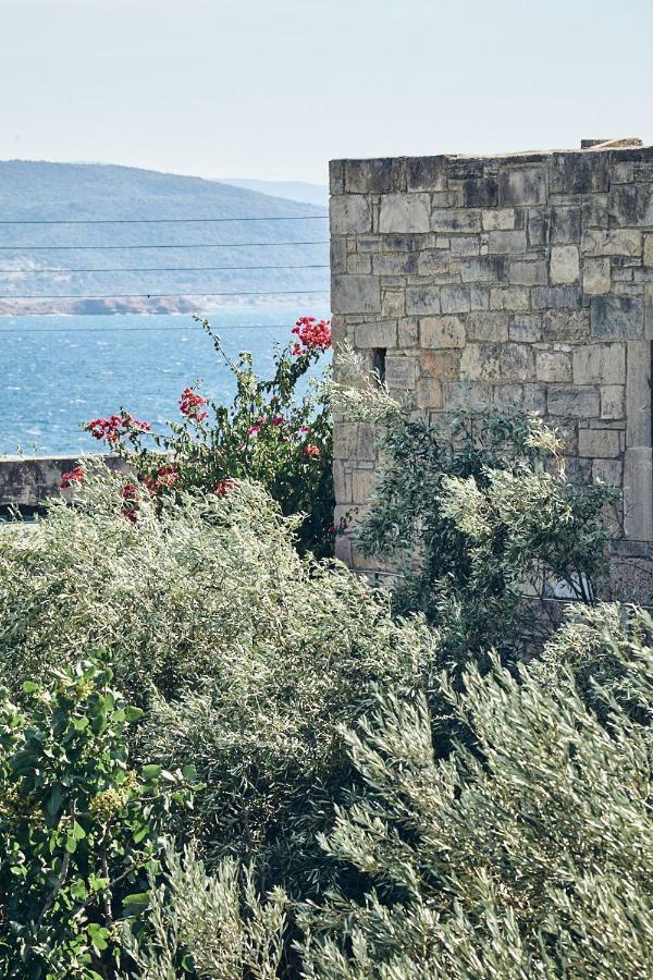 Nikolaou Art Residence Aegina 外观 照片