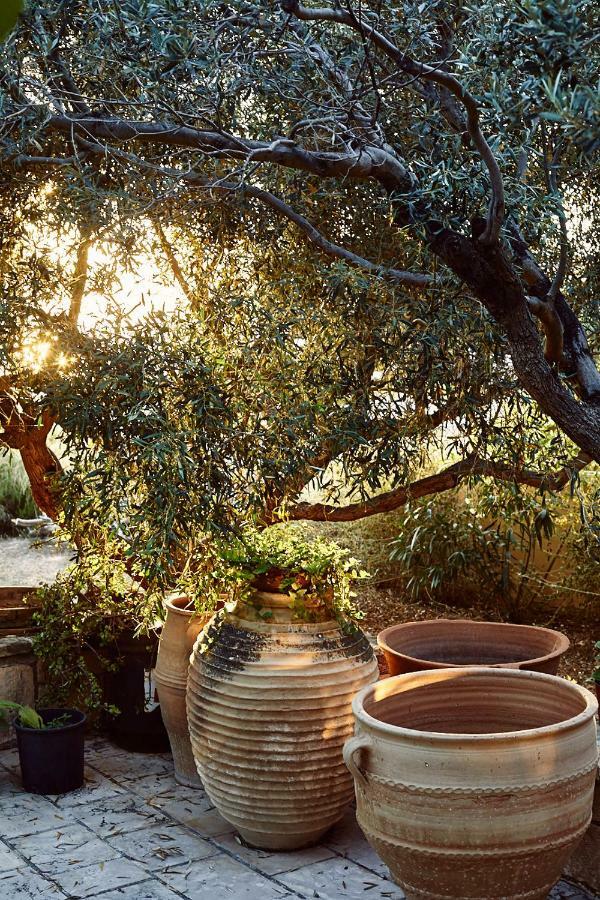 Nikolaou Art Residence Aegina 外观 照片