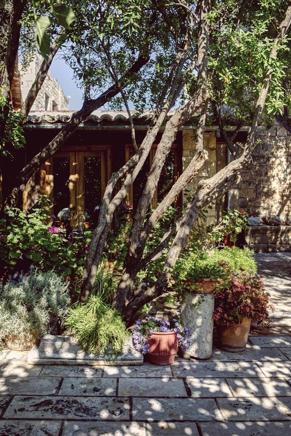 Nikolaou Art Residence Aegina 外观 照片
