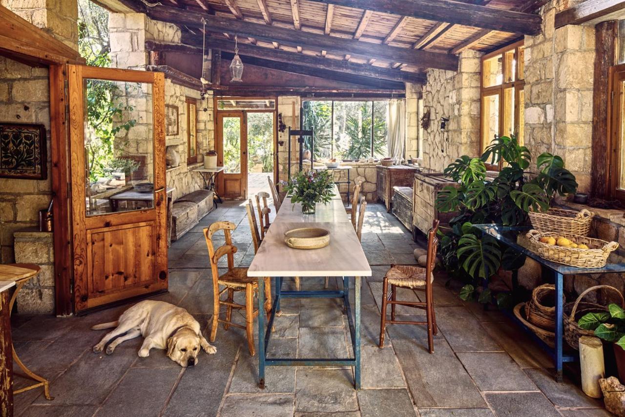 Nikolaou Art Residence Aegina 外观 照片